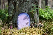 Leśny domek jagodowej wróżki