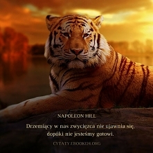 Napoleon Hill cytat o zwycięzcy