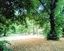 Park im. księcia Józefa Pon...