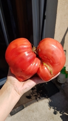 86 dkg :) malinowy mutant :)