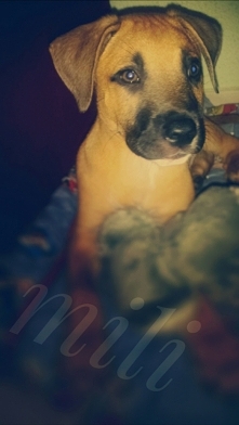 nowy członek rodziny:) &quo...