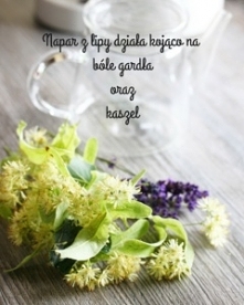 Właściwości naparu z lipy - infekcje u dzieci