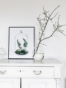 Las pod kloszem| print | 30x40 cm