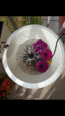 Fontanna w donicy :) szum wody- jak nad strumykiem.
Wnętrze doniczki wykleję kamyczkami.