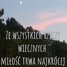 S@motność w Sieci 
recenzja na nieslychaniezaczytana.blogspot.com