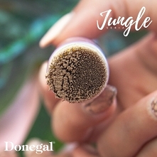 Jungle by Donegal