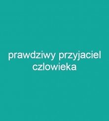 Przyjazn