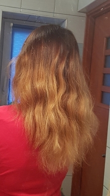 Moje siano. Zobaczymy czy olejowanie przyniesie jakiś rezultat. Zaopatrzylam się w olej z pestek dyni (tak pięknie pachnie, że chyba zostawię go do sałatek), olej ze słodkich mi...