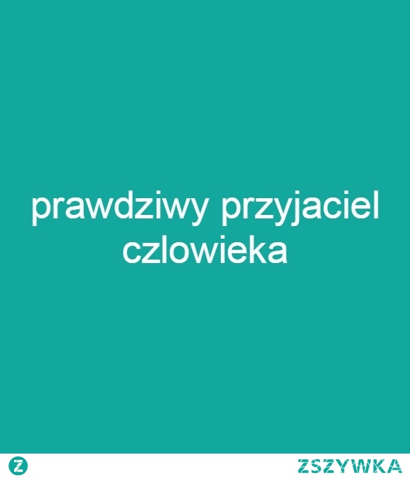 Przyjazn
