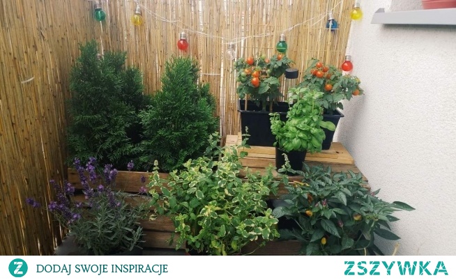 Moj zaczarowany ogrod ;)