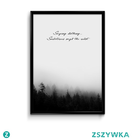 Saying nothing.. plakat