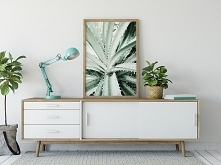 Plakat skandynawski botaniczny Aloes