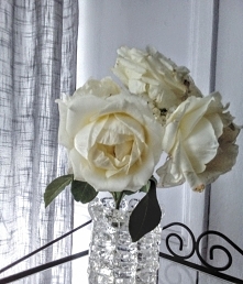 ...wsta­wił różę do wa­zonu, poszedł spać. Ra­no róża zwiędła na amen. O różę trzeba dbać! Miłość jak i życie - jest jak róża. Piękna, cudnie pachnąca, w wielu barwach, ale posi...