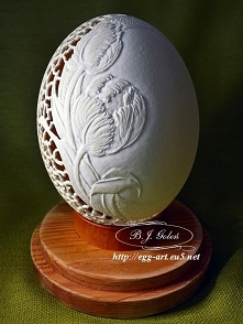 autor Bogusława Justyna Gol...