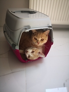 Najlepsze miejsce do spania :)