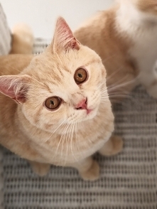 Czy te oczy mogą kłamać?????