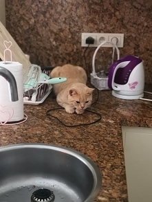 Co dziś na obiad???