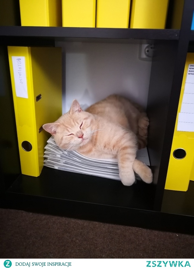 Prace biurowe wg. Gizmona :)