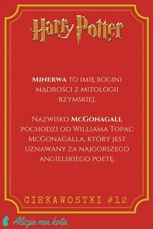 Co oznaczają imiona i nazwi...