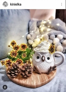 kubek sowa