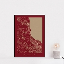 Mapa Trójmiasta - grafika - miasto na ścianę