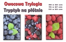 Nie masz pomysłu na prezent dla najbliższych? Zobacz nasz owocowy tryptyk. Trzy obrazy na płótnie będą piękną dekoracją domowej kuchni. Dostępne w trzech rozmiarach.