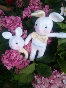 Kolejne miśki jadą tym razem do Pawełka.