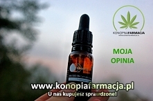 Aktualnie skończyłam pierws...