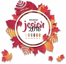 Przygotowaliśmy dla Was 6 cudownych jesiennych odcieni, które wspaniale wpiszą się w tej wyjątkowy okres 