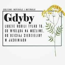 Odważ się zrobić to, co wydaje się absurdalne lub niemożliwe!