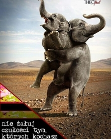 Na uściski zawsze jest pora bo miłość jest wielka.