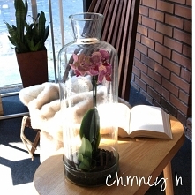 Kopuła Chimney h ze szklaną podstawą, idealna dla stworzenia w niej lasu, ogrodu w szkle.Zapraszamy sklep.bovem.eu