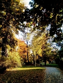 „Jakże się cieszę, że żyję ...