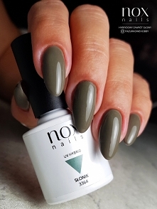 Przed Wami niezwykle elegancki Słonik czyli szary lakier hybrydowy!