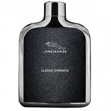Jaguar Classic Chromite (M) woda toaletowa 100ml
99,00 PLN