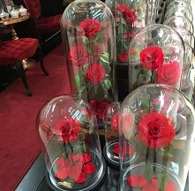 Girl like flower ( ^^)