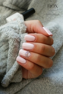 Z pewnością pokochacie najsłodszą hybrydę jaką mamy - Watę Cukrową 