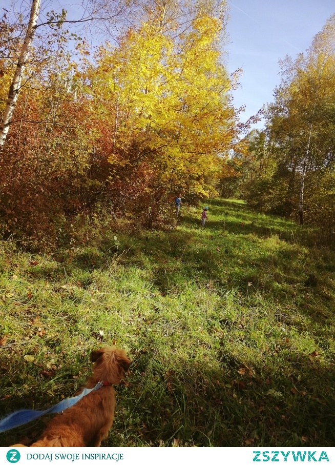 Jesienny spacerek 