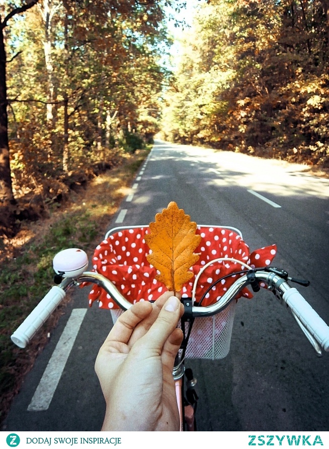 Idzie jesień:)