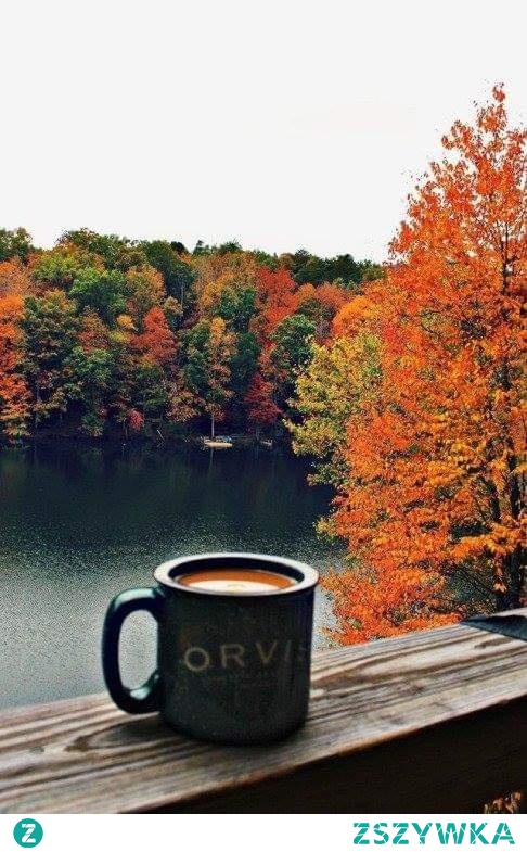 Jesień♡