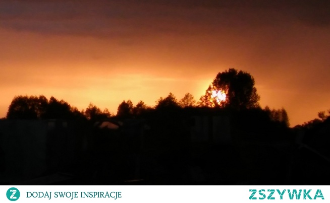 "Człowiek żyje, dopóki wszystko go ciekawi"- J. L. Wiśniewski, I. Wownenko "Miłość oraz inne dysonanse"