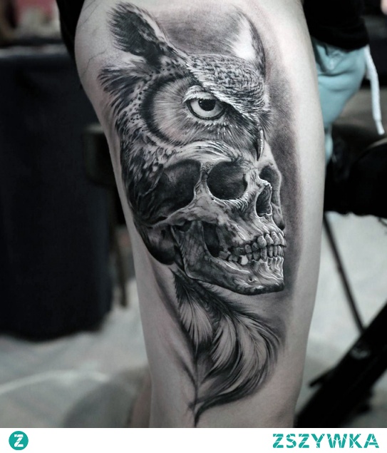 3d tattoo owl and skull