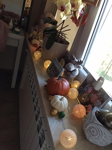 Dyniowe szaleństwo w pokoju