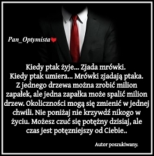 Pan optymista