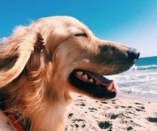 ♥️