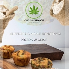 MUFFINKI NA MAŚLE KONOPNY Z CBD 

PRZEPIS NA MUFFINKI Z CBD

SKŁADNIKI: 1/4 szklanki Stopionego Masła Konopnego ( przepis na masło tutaj: 

3/4 SZKLANKI MASŁA KONOPNEGO
(LINK DO...