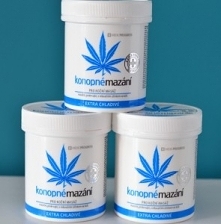 Szampony konopne mogą znacząco poprawić stan Twoich włosów! Działają zarówno na fryzury przetłuszczające się, jak i suche, a także w przypadku łuszczycy czy wrażliwej skóry głowy.