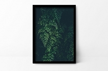 Plakat Liście A2