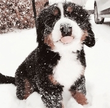 Podoba się? Zaobserwuj profil by mieć stały dostęp do nowych inspiracji.