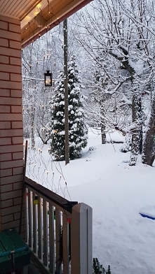 im dreaming..of ..a white c...